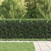 vidaXL Spike Arch Fence Black 200 x 130 cm Powder-Coated Steel