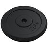 vidaXL Weight Plate 40 kg Cast Iron