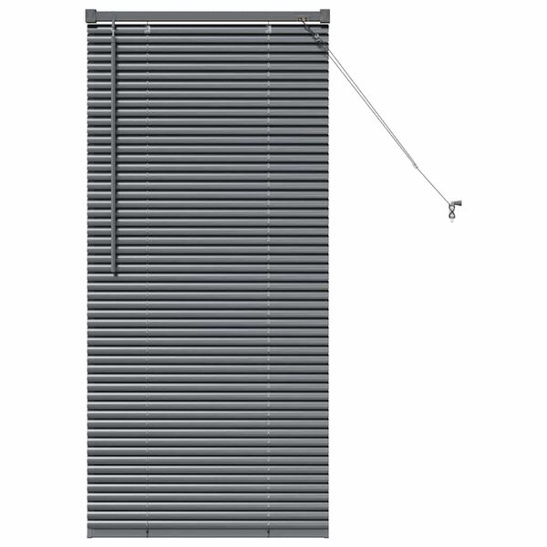 vidaXL Window Blind with Curtains Manual Dark grey Aluminium