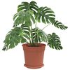 Product Thumbnail Image 3 of 12