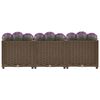 Product Thumbnail Image 3 of 9