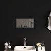 vidaXL LED Bathroom Mirror 20x40 cm