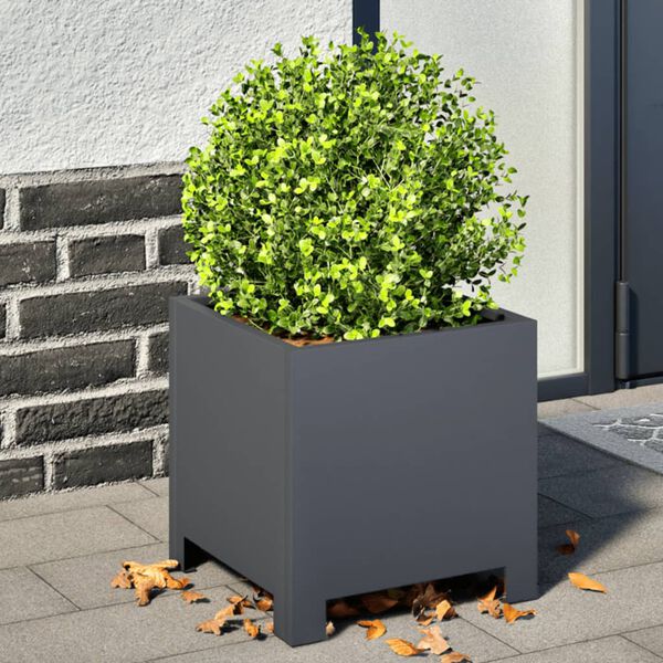 Showing Product Image 2 of 12