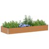 Product Thumbnail Image 3 of 13