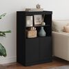 vidaXL Sideboard with LED Lights Black 60.5x37x100 cm