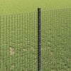 Product Thumbnail Image 4 of 17