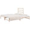 vidaXL Pull-out Day Bed without Mattress 2x(90x200) cm