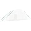 vidaXL Greenhouse with Steel Frame White 12 m² 6x2x2.85 m