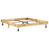 vidaXL Bed Frame without Mattress Solid Mango Wood 160x200 cm