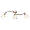 vidaXL Ceiling Lamp | Satin Chrome, Transparent