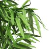 Product Thumbnail Image 2 of 4