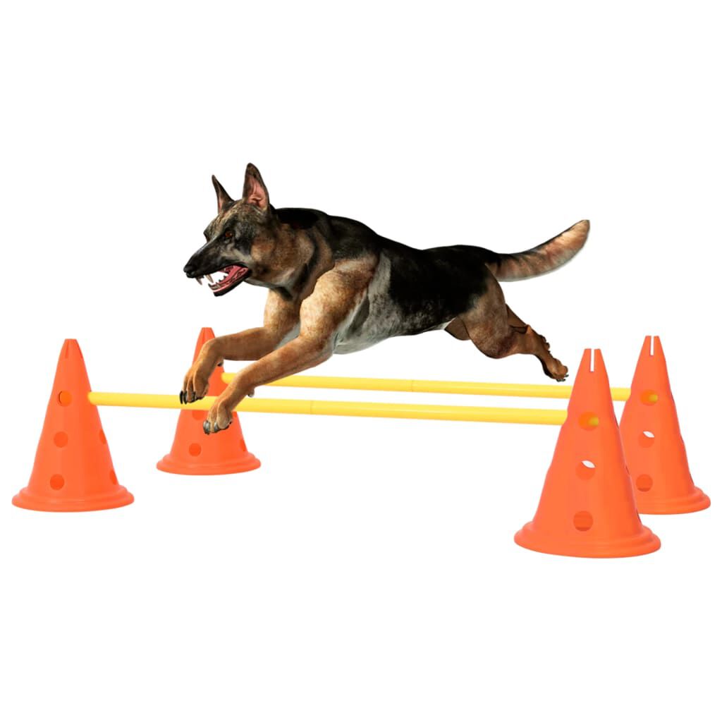 Dog agility cones with holes hotsell