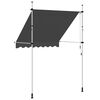 vidaXL Manual Retractable Awning 200 cm Anthracite