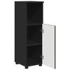 vidaXL Bathroom Cabinet Black 30 x 35 x 95 cm Engineered wood & Metal