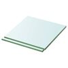 vidaXL Shelves 2 pcs Panel Glass Clear 30x25 cm