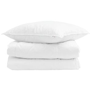 vidaXL Summer Duvet with Pillow 2 pcs White Down Feather