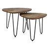 HSM Collection 2 Piece Coffee Table Set Dexter