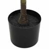Product Thumbnail Image 3 of 5