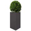 Product Thumbnail Image 4 of 12