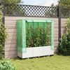 vidaXL Raised Bed with Greenhouse Cover Rattan Look 120x40x138 cm