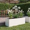 Product Thumbnail Image 2 of 7