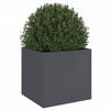 Product Thumbnail Image 4 of 11