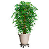Product Thumbnail Image 2 of 8