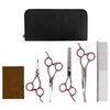 vidaXL 5 Piece Dog Grooming Scissors Set Stainless Steel