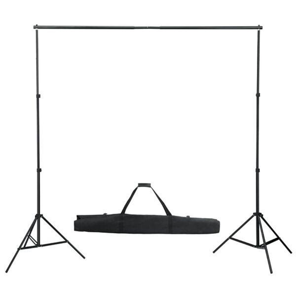 vidaXL Photo Studio Kit with Lights. Backdrop and Reflector