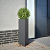 Product Thumbnail Image 2 of 12