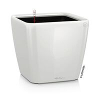 LECHUZA Table Planter QUADRO LS 21 ALL-IN-ONE High-gloss White