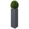 Product Thumbnail Image 4 of 12