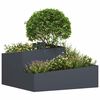 Product Thumbnail Image 3 of 12