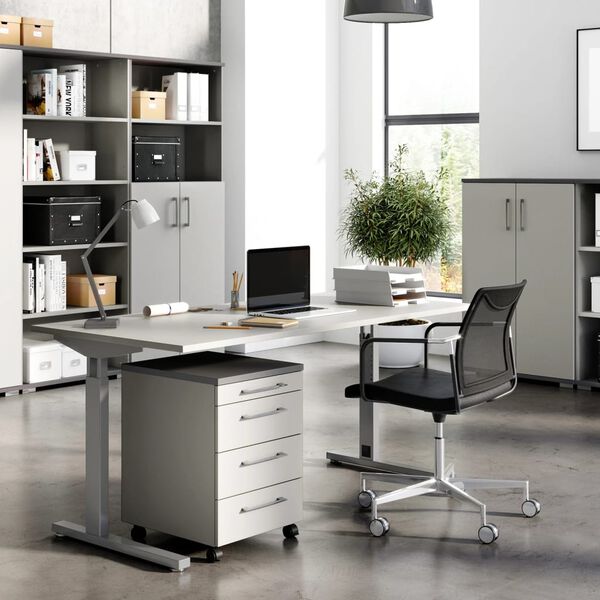 Germania Rolling Cabinet GW-Profi 2.0 42x49x61 cm Light Grey and Graphite