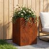 Product Thumbnail Image 2 of 12