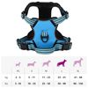 Product Thumbnail Image 14 of 14