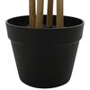 Product Thumbnail Image 4 of 5
