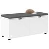 vidaXL Hall Bench with Cushion with Storage White 100 x 38 x 46 cm