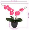 Product Thumbnail Image 4 of 4