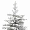 Product Thumbnail Image 10 of 17