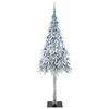 Product Thumbnail Image 4 of 15