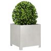 Product Thumbnail Image 4 of 12