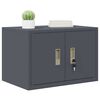 vidaXL Storage Cabinet Anthracite 60 x 40 x 40 cm Steel
