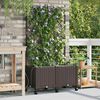 Product Thumbnail Image 2 of 8