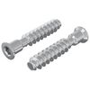 vidaXL Head Cap Screw 2 pcs Silver M7 x 40 mm Steel