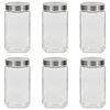 vidaXL Storage Jars with Silver Lid 6 pcs 2100 ml