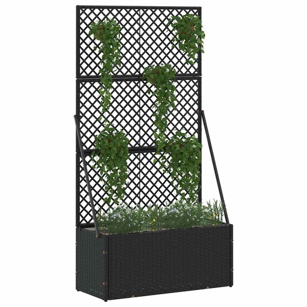 Showing Product Image 2 of 8
