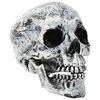 vidaXL Halloween Skull SPOOKA 2 pcs White 12 x 15 x 17.5 cm Plastic