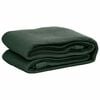 vidaXL Tent Carpet 250x200 cm HDPE Green