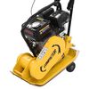 vidaXL Vibratory Plate Compactor 196 CC 63 kg 12.1 Kn